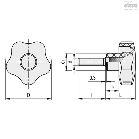 Elesa Stainless steel threaded stud, with cap, VCT.74-SST-p-M12x50-C5 VCT-SST-p